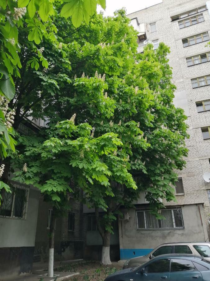 Apartments near the sea Odessa Exterior foto